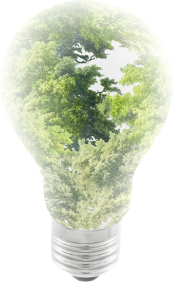 Lighbulb ecosystem